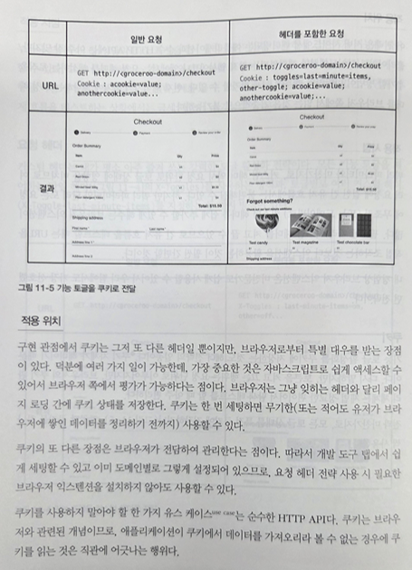 이중쓰기전략