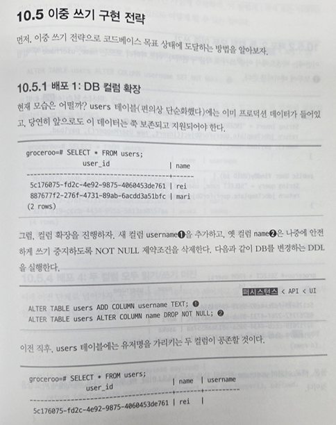 이중쓰기전략