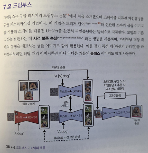 드림부스
