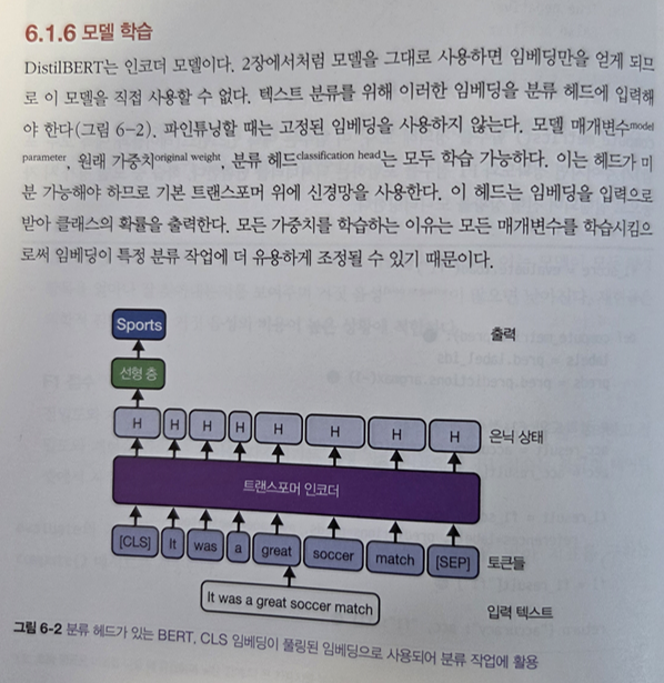 파인튜닝