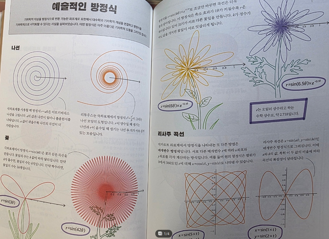 예술과방정식